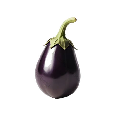 Taze Malzeme 3